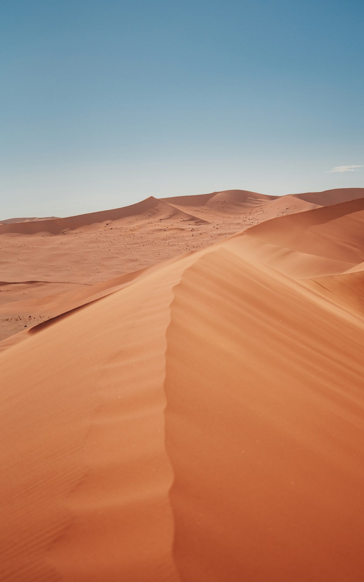 Orange dunes under a clear blue sky